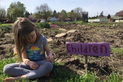 Garden May 2017 1